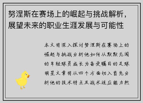 努涅斯在赛场上的崛起与挑战解析，展望未来的职业生涯发展与可能性