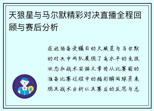 天狼星与马尔默精彩对决直播全程回顾与赛后分析