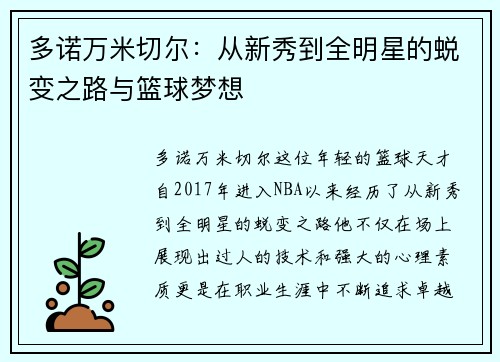 多诺万米切尔：从新秀到全明星的蜕变之路与篮球梦想