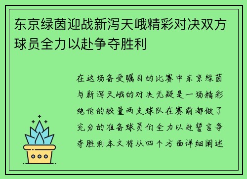 东京绿茵迎战新泻天峨精彩对决双方球员全力以赴争夺胜利