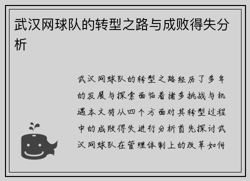 武汉网球队的转型之路与成败得失分析
