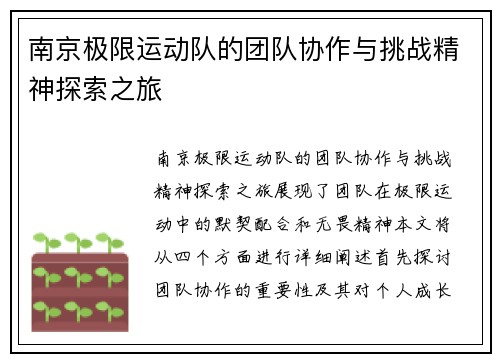 南京极限运动队的团队协作与挑战精神探索之旅