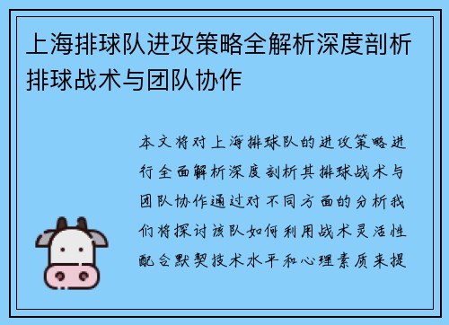 上海排球队进攻策略全解析深度剖析排球战术与团队协作